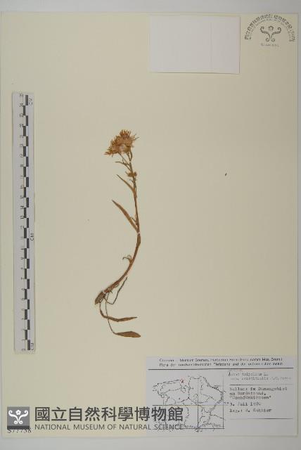 登錄號:S077738藏品圖，第1張