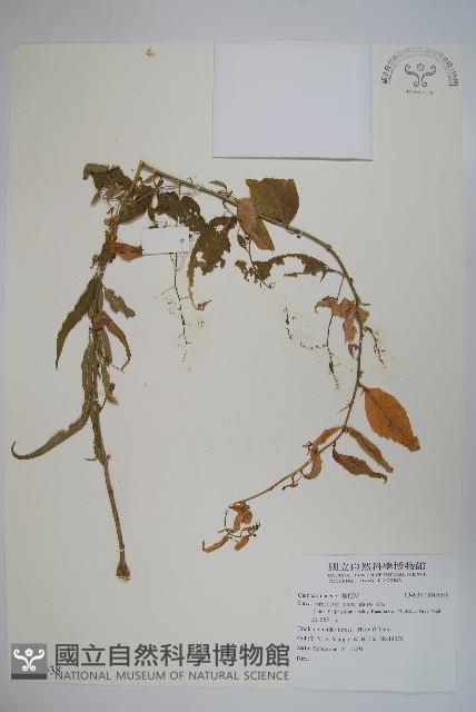 登錄號:S105538藏品圖，第1張