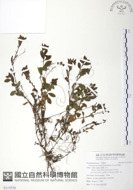 玉山水苦賈藏品圖，第1張