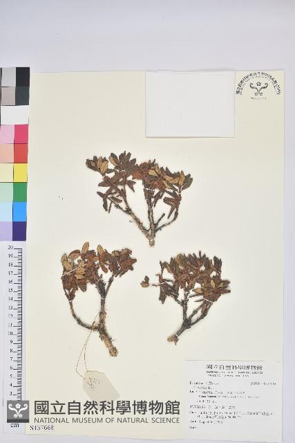 登錄號:S137668藏品圖，第1張