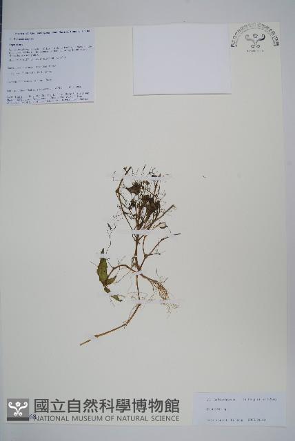 登錄號:S106068藏品圖，第1張