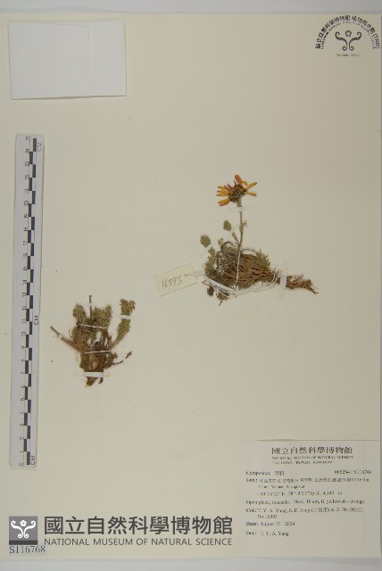 登錄號:S116768藏品圖，第1張