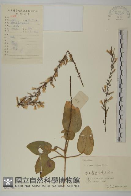 香鬼督郵藏品圖，第1張