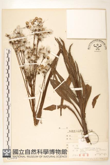 登錄號:S026448藏品圖，第1張