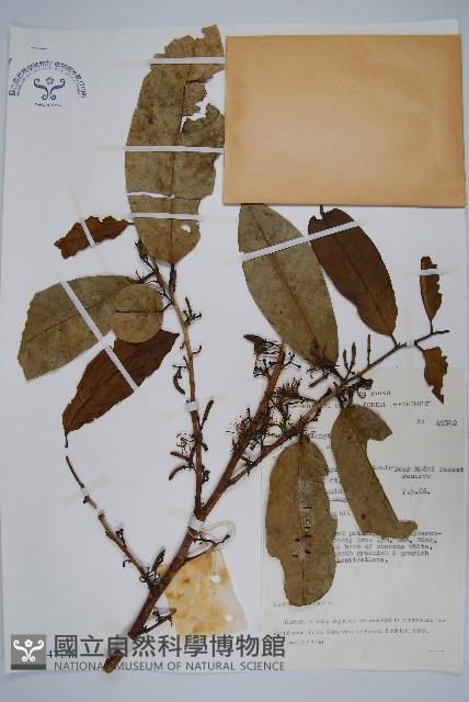 登錄號:S047148藏品圖，第1張