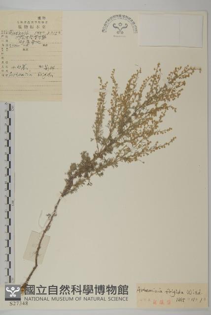 冷蒿藏品圖，第1張