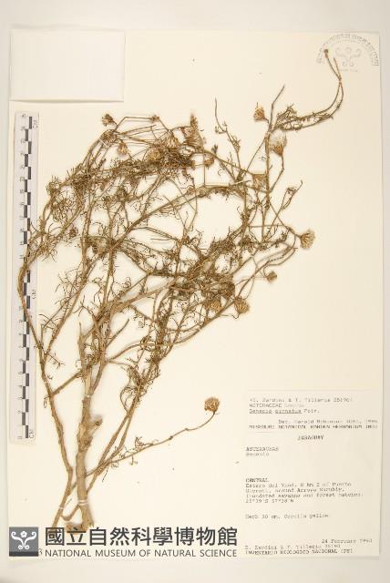 登錄號:S062323藏品圖，第1張