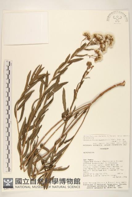 登錄號:S080703藏品圖，第1張