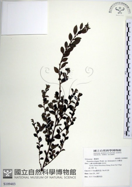 水雞油藏品圖，第1張
