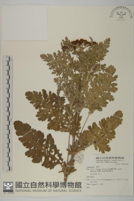 登錄號:S073903藏品圖，第1張