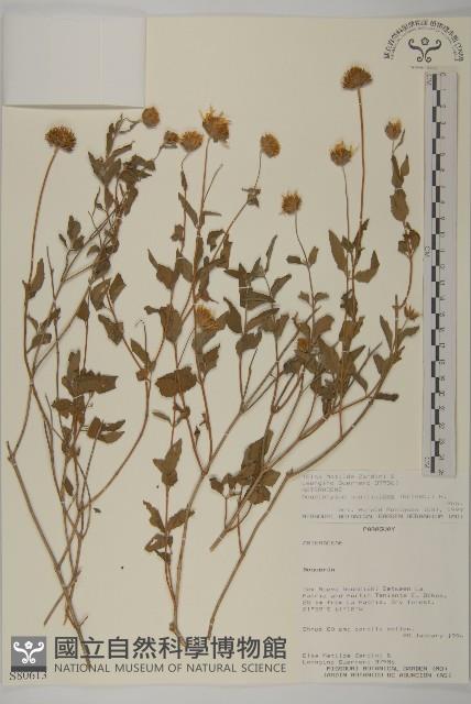 登錄號:S080613藏品圖，第1張