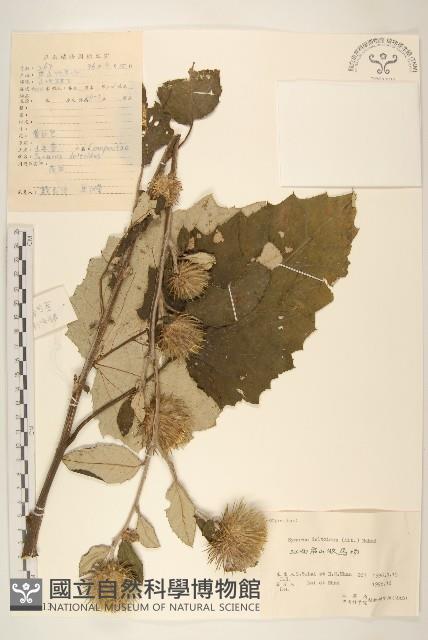 山牛旁藏品圖，第1張