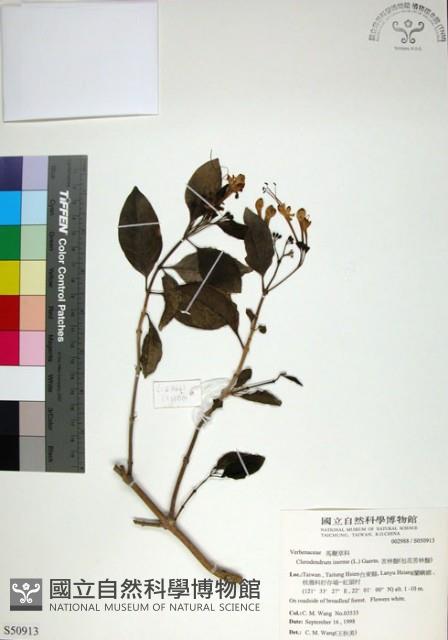 苦林盤藏品圖，第1張