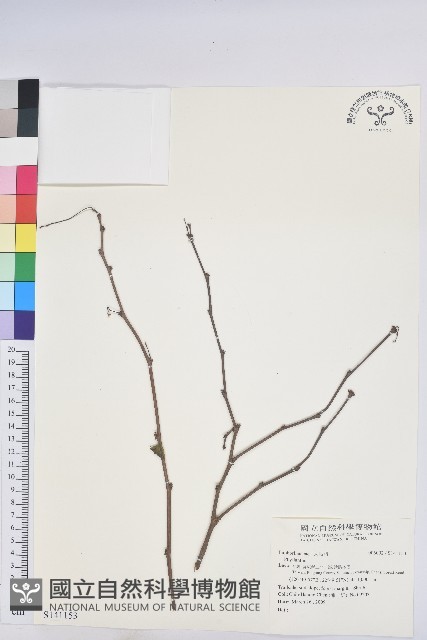 登錄號:S141153藏品圖，第1張