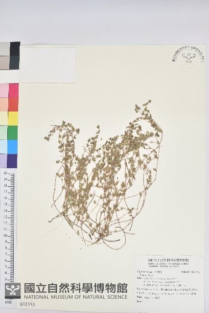 登錄號:S092353藏品圖，第1張