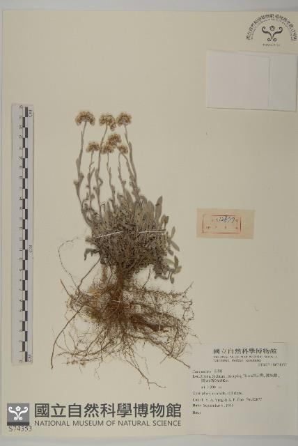 登錄號:S074353藏品圖，第1張