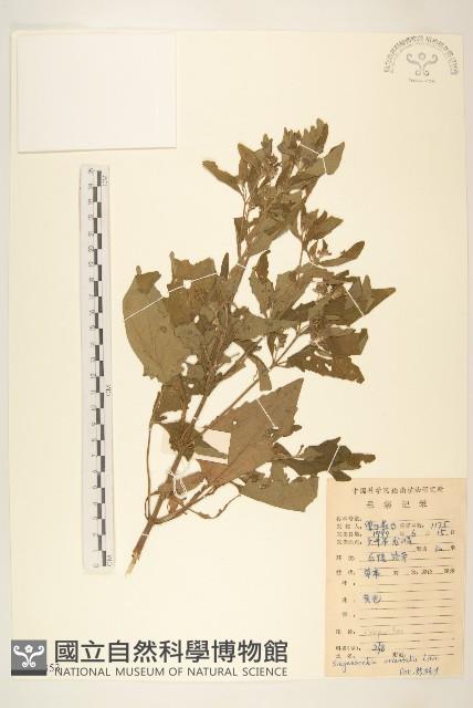 豨簽藏品圖，第1張