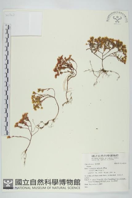 登錄號:S141553藏品圖，第1張