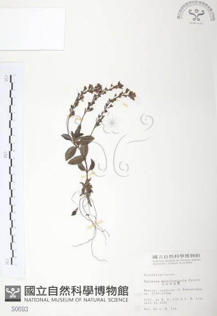 玉山水苦賈藏品圖，第1張