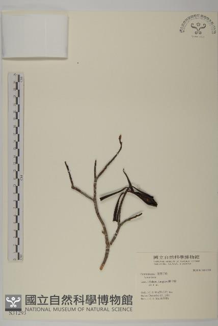 登錄號:S031293藏品圖，第1張