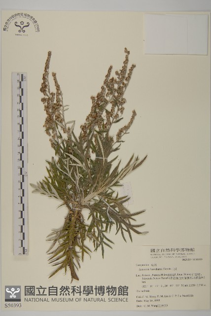 太魯閣艾藏品圖，第1張