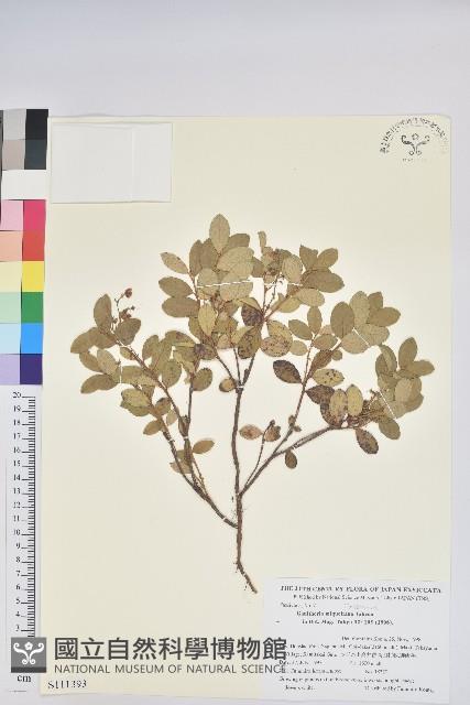 登錄號:S111393藏品圖，第1張