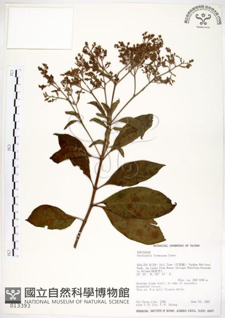 水金京藏品圖，第1張