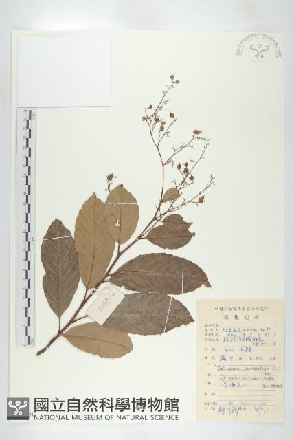 登錄號:S086893藏品圖，第1張