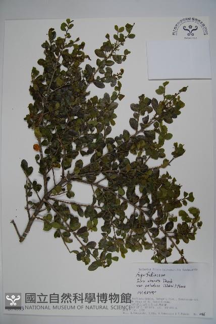 登錄號:S074893藏品圖，第1張