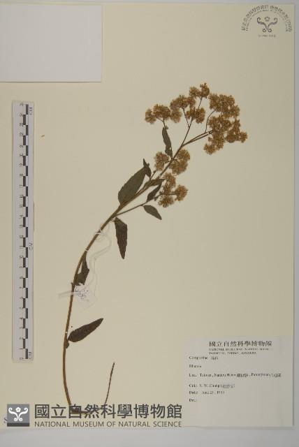 登錄號:S000993藏品圖，第1張