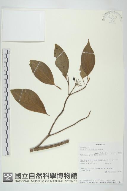 登錄號:S095993藏品圖，第1張