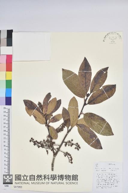 南燭藏品圖，第1張