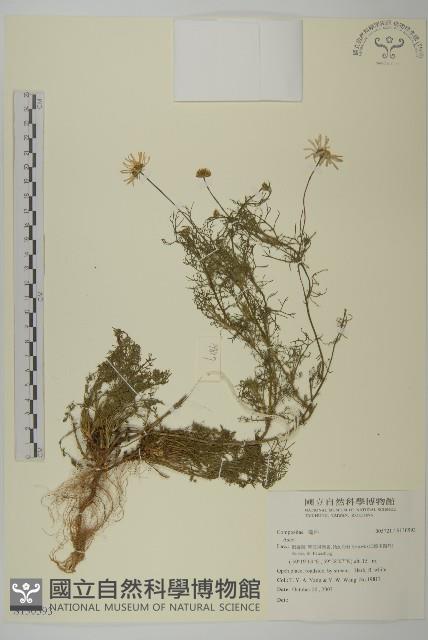 登錄號:S130593藏品圖，第1張