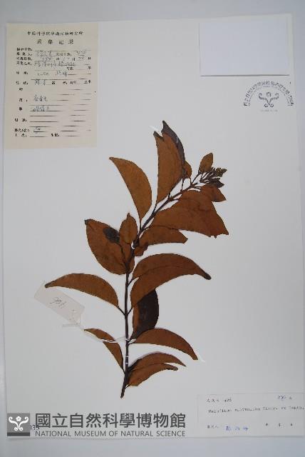 山橙藏品圖，第1張