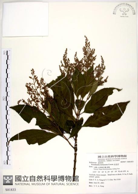 水金京藏品圖，第1張