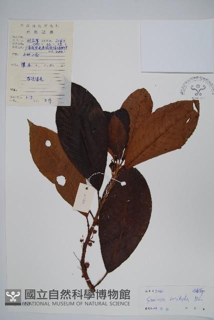 水東哥藏品圖，第1張