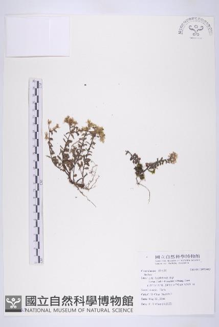 登錄號:S093063藏品圖，第1張