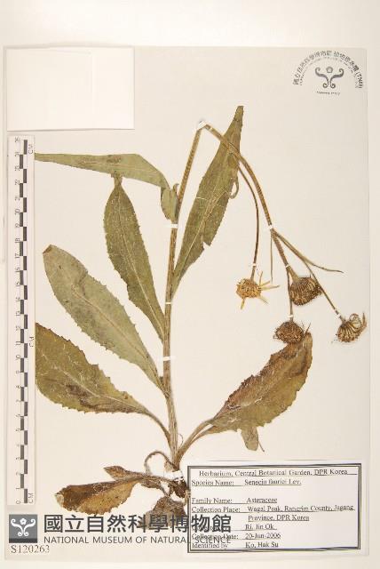 登錄號:S120263藏品圖，第1張