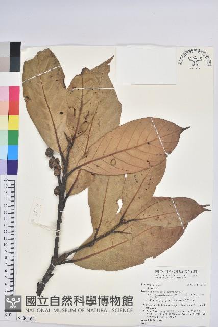 登錄號:S180463藏品圖，第1張