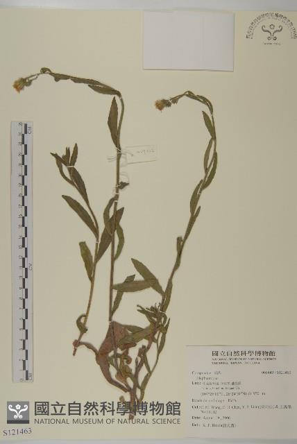 登錄號:S121463藏品圖，第1張