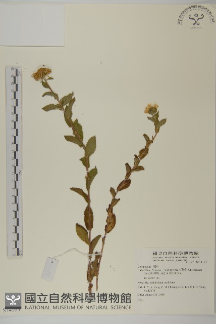 登錄號:S074163藏品圖，第1張