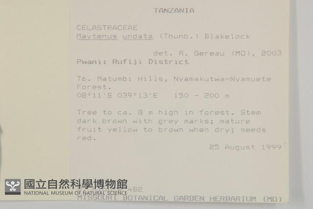 登錄號:S093363藏品圖，第1張