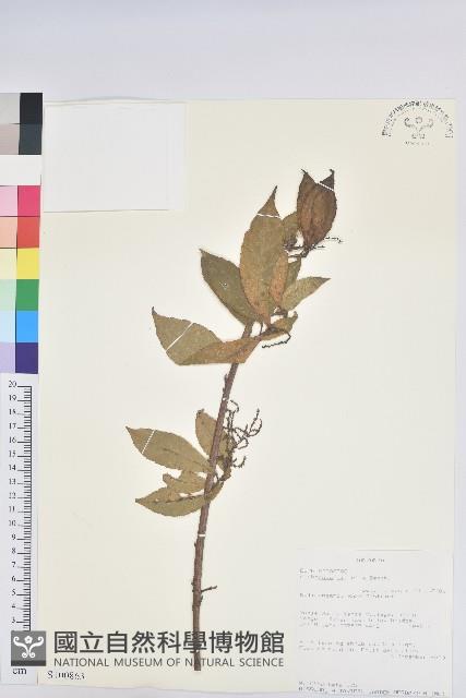 登錄號:S100863藏品圖，第1張