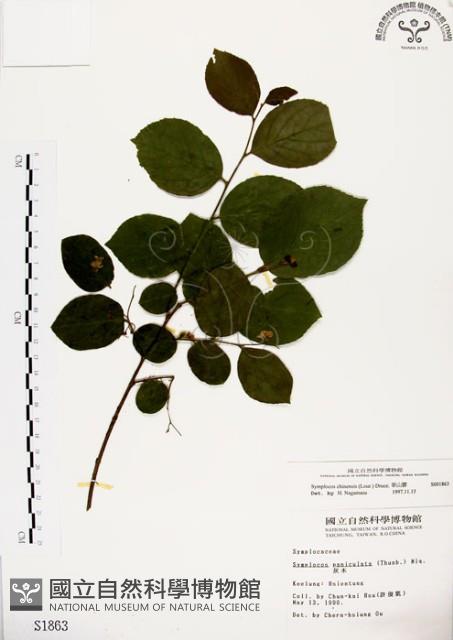 灰木藏品圖，第1張