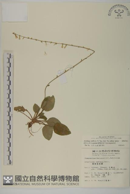 臺灣鬼督郵藏品圖，第1張