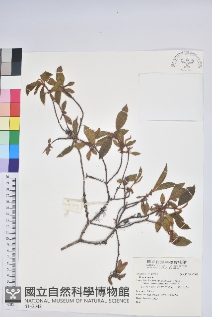 登錄號:S142043藏品圖，第1張