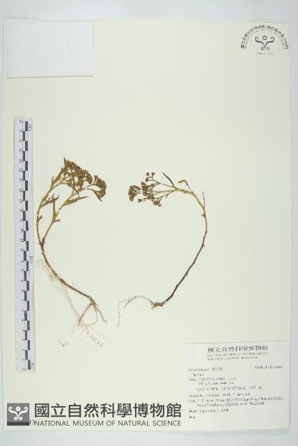 登錄號:S141443藏品圖，第1張