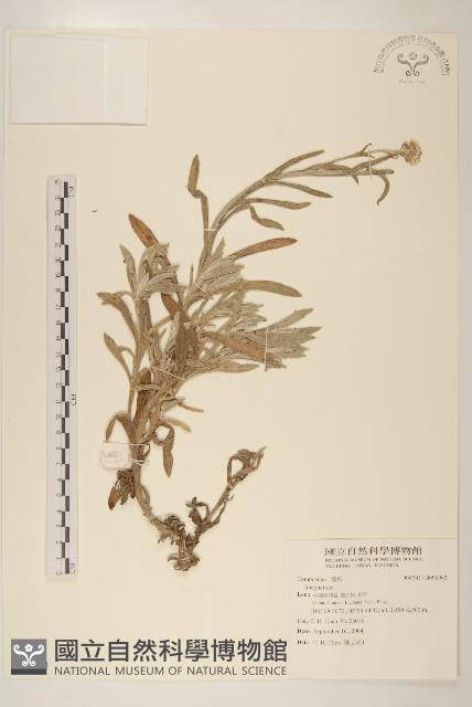 登錄號:S096943藏品圖，第1張