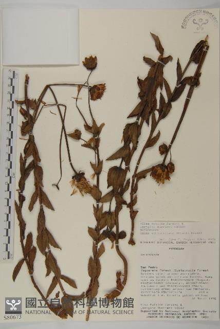 登錄號:S080673藏品圖，第1張