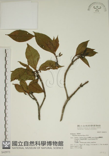 貝木藏品圖，第1張